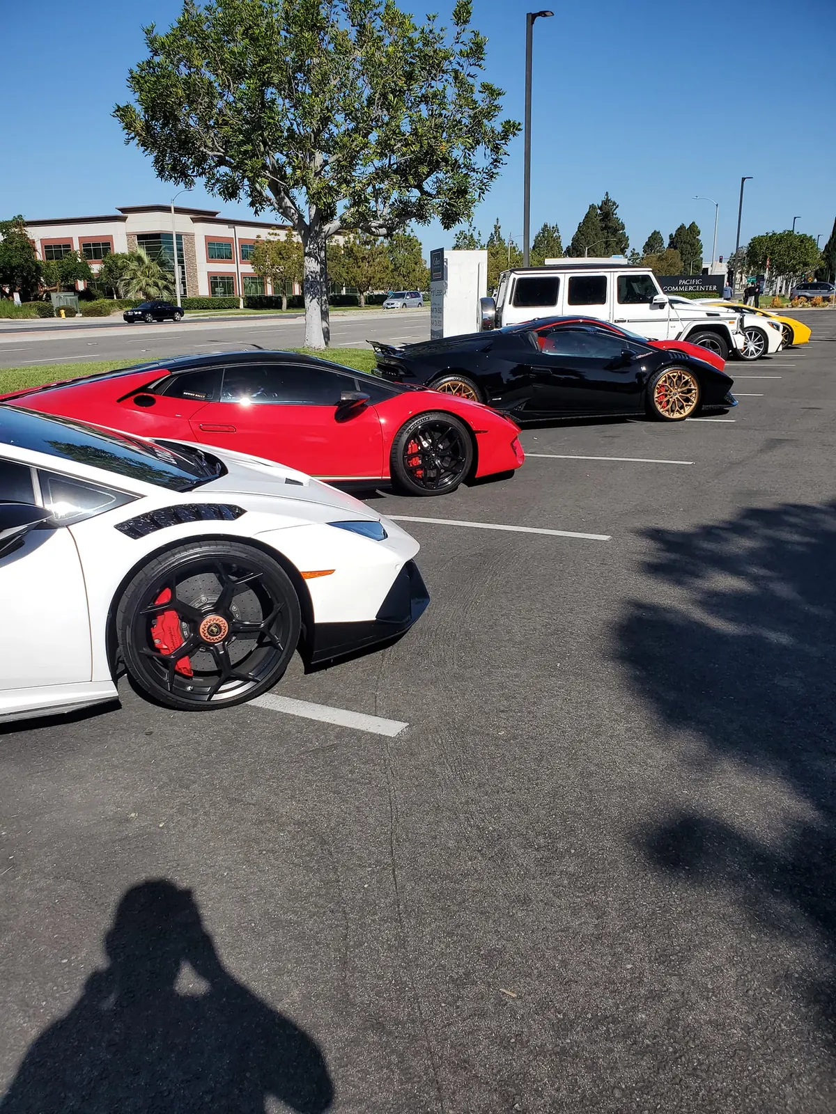Exotic cars detailed by Sierra's Auto Mobile Detailing